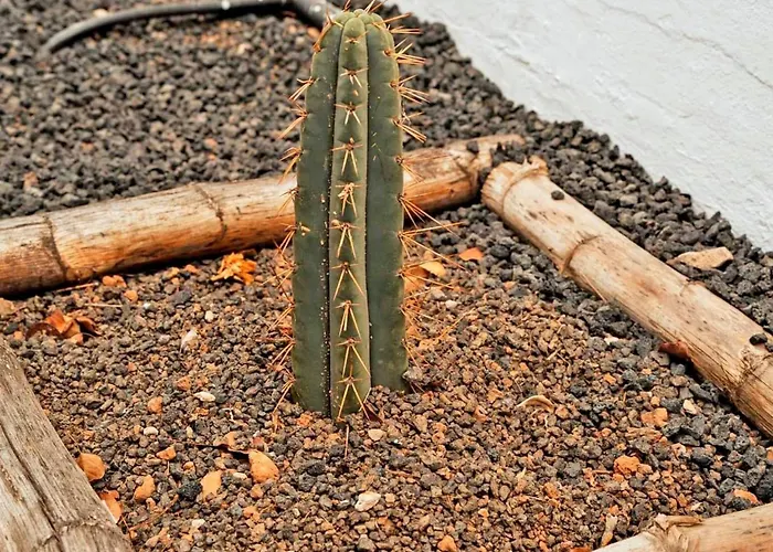 Holiday home Komfortables In Mit Privatem Garten Und Beheiztem Pool By Interhome *