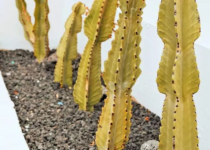 Komfortables In Mit Privatem Garten Und Beheiztem Pool By Interhome Holiday home *