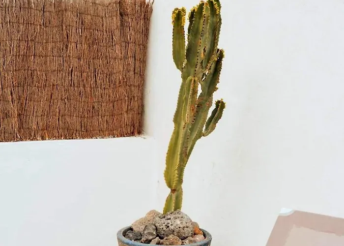 Casa vacanze Komfortables In Mit Privatem Garten Und Beheiztem Pool By Interhome Corralejo